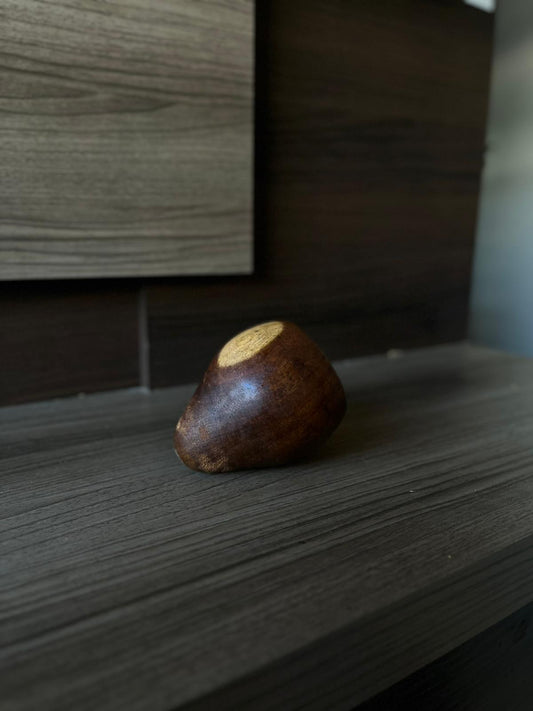 Torpedo Chico en Algarrobo