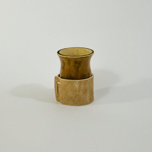 Camionero de Calabaza