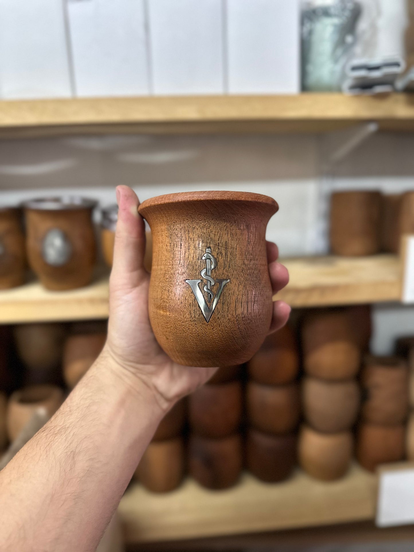 Camionero con Incrustación de Profesiones