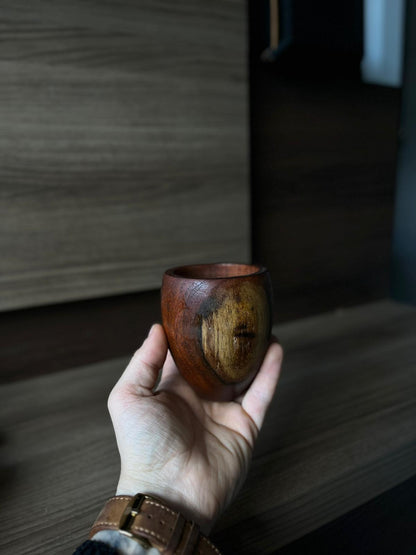 Torpedo en Algarrobo