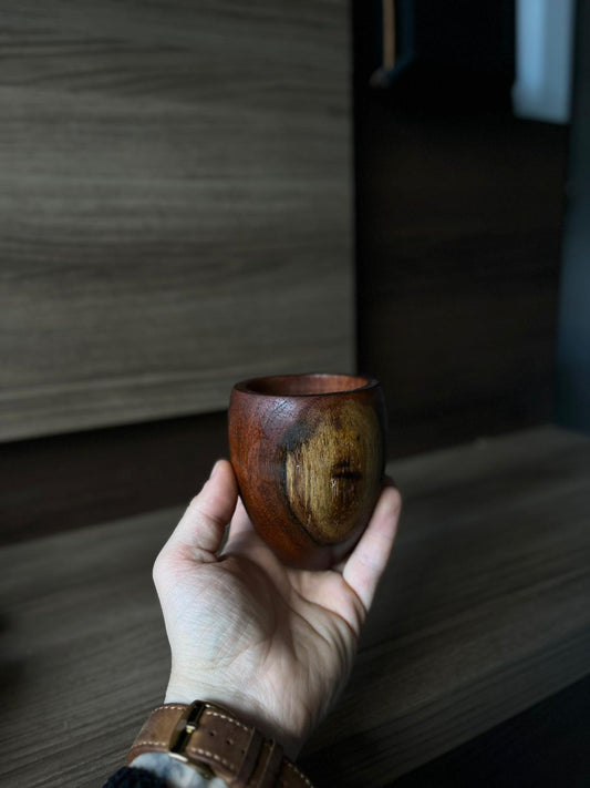 Torpedo en Algarrobo