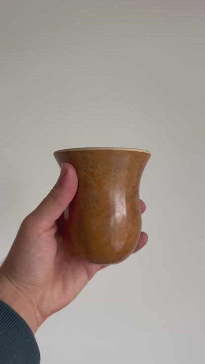 Camionero de Calabaza